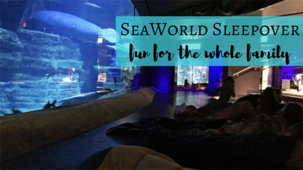 Our SeaWorld Educational Sleepover Adventure