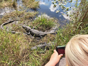 Visiting Everglades National Park with Kids.