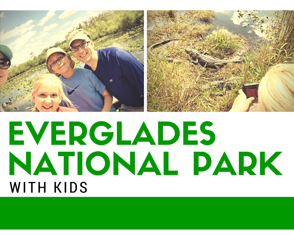 Everglades National Park with Kids