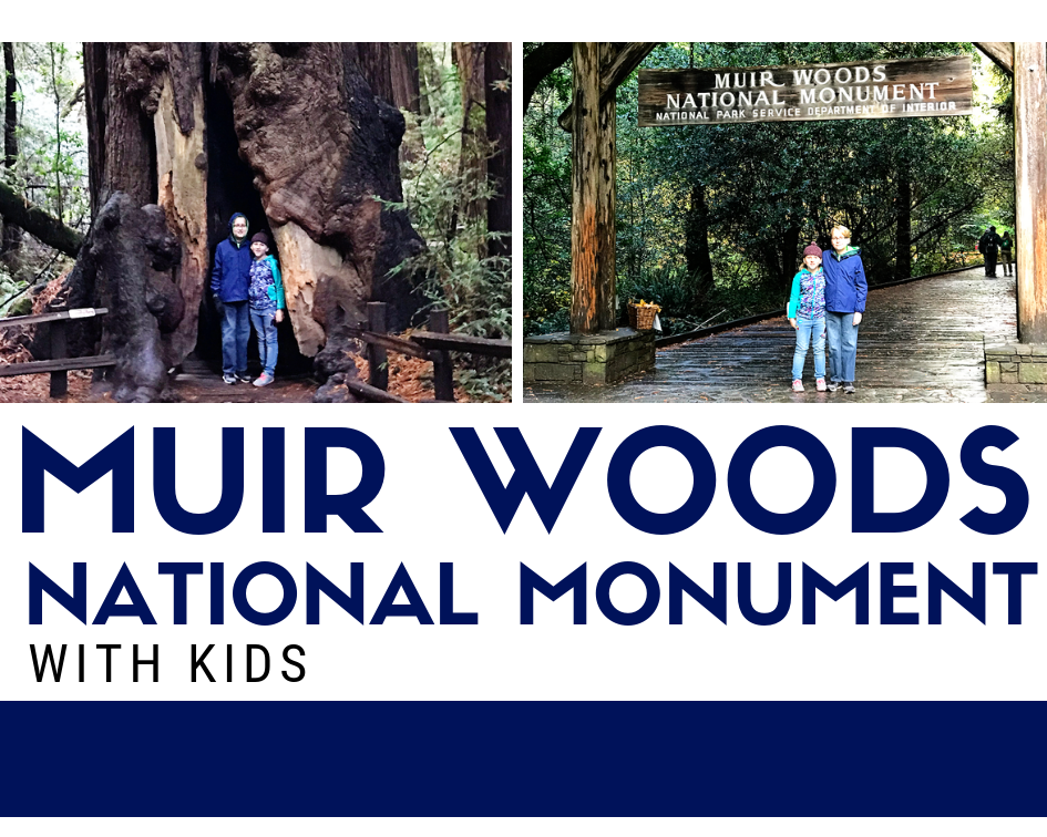 Muir Woods National Monument with Kids