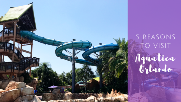 5 Reasons to Visit Aquatica Orlando