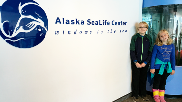 Alaska SeaLife Center in Seward Alaska