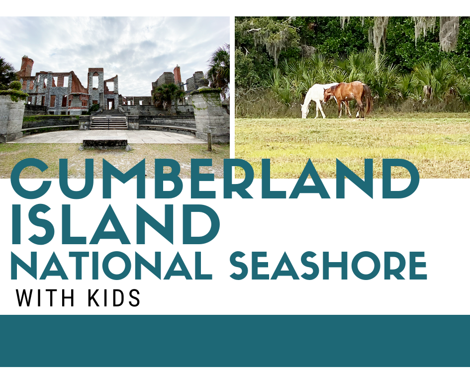 Cumberland Island National Seashore with Kids