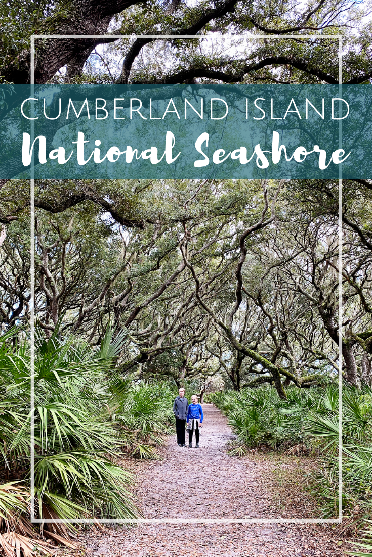 Visiting Cumberland Island National Seashore in South Georgia with Kids
