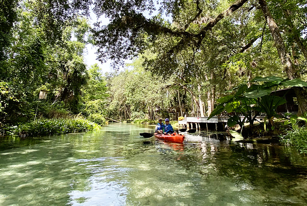 Kayaking Rock Springs Kelly Park, the beautiful Emerald Cut of Florida.